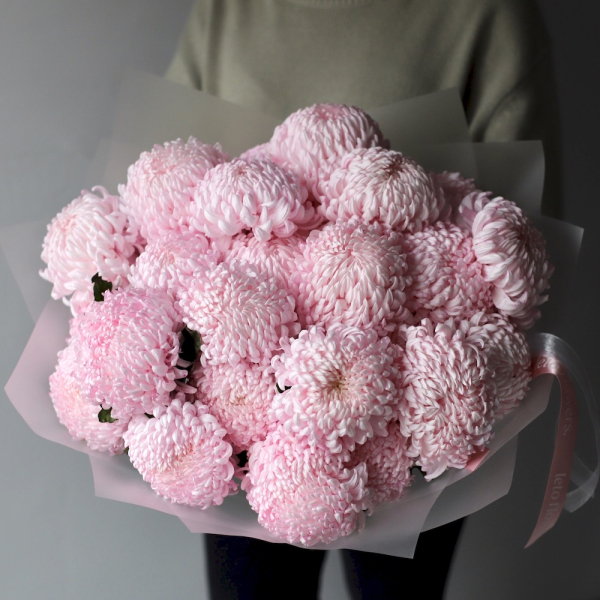 Large pink Chrysanthemum - 25 хризантем