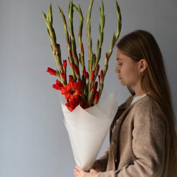 Red Gladiolus - 9 гладиолусов