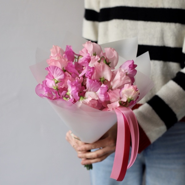 Pink Sweet Pea