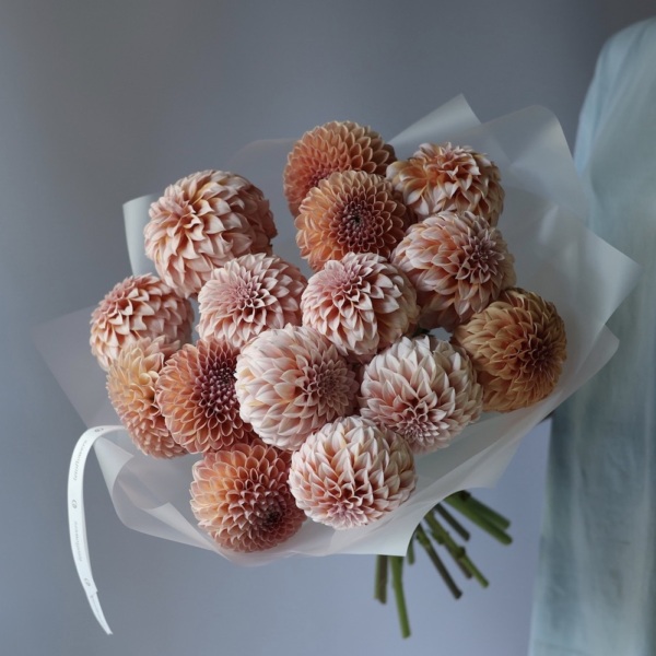 Mixed color Dahlias - 15 георгин