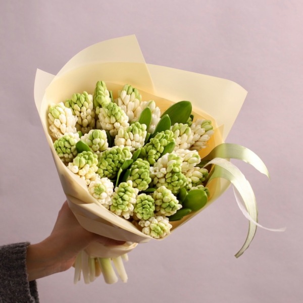 White Hyacinthus - 25 гиацинтов 