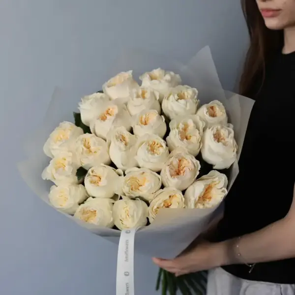 White Ohara Rose - 23 роз