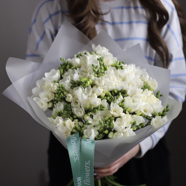 White Freesia - 49 фрезий