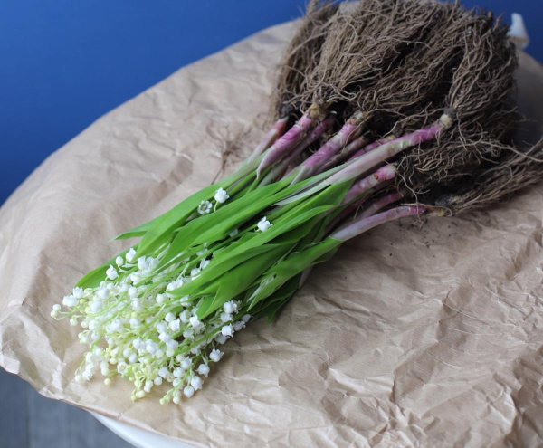 Fresh flowers