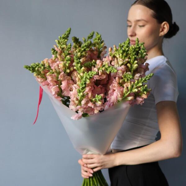 Pink Snapdragon - 39 львиных зевов
