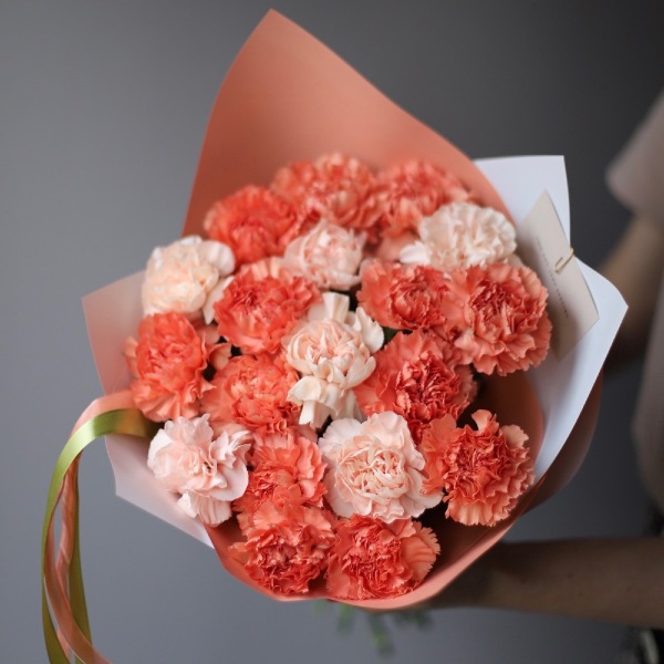 Mixed color Carnations - 19 гвоздик