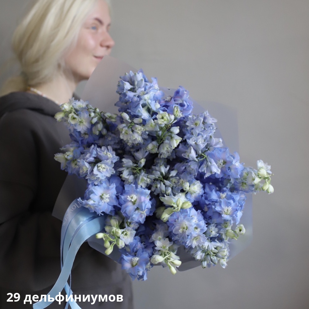 Skyblue Delphinium Skyblue Delphinium -  29 дельфиниумов