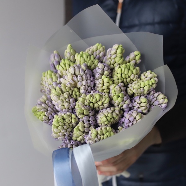 Lilac Hyacinthus -  25 гиацинтов 