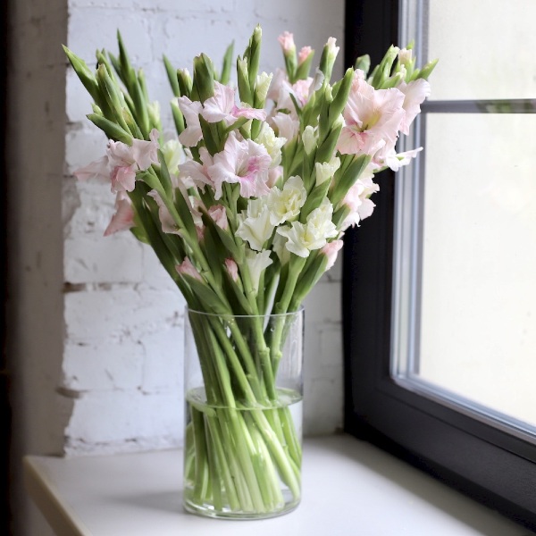 Gladioluses in a vase - 19 гладиолусов