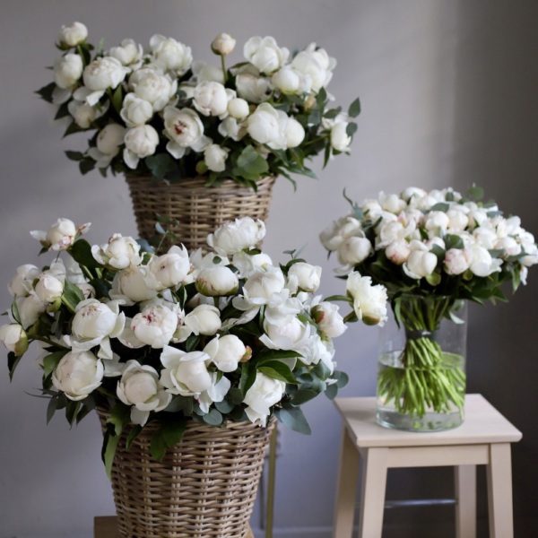 Flower set of peonies "Snow-White" - Размер S