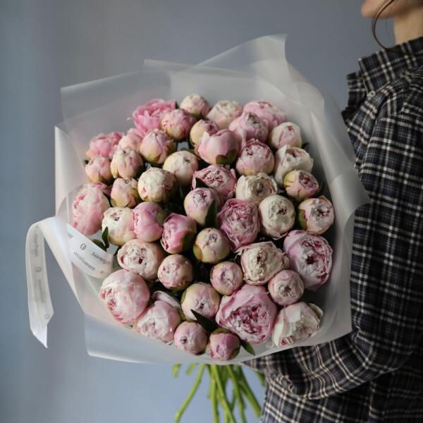 Pink Peony - 49 пионов