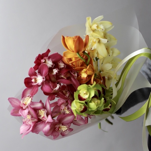 Cymbidium Orchid - 5 цимбидиумов 