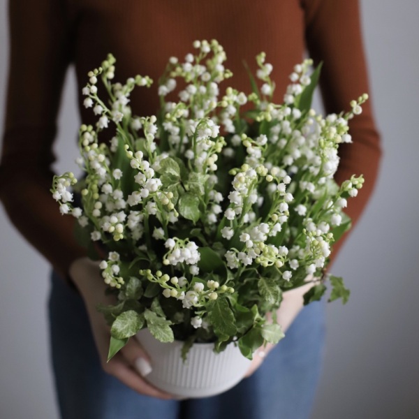 Lily of the Valley in a ceramic pot - 49 ландышей