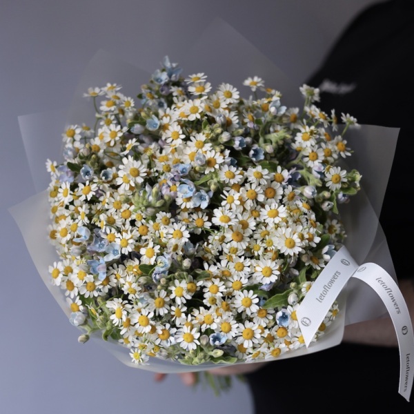 Chamomile with Oxypetalum Chamomile with Oxypetalum -  Размер S