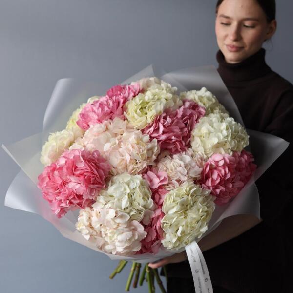 Colombian Hydrangeas - 15 гортензий