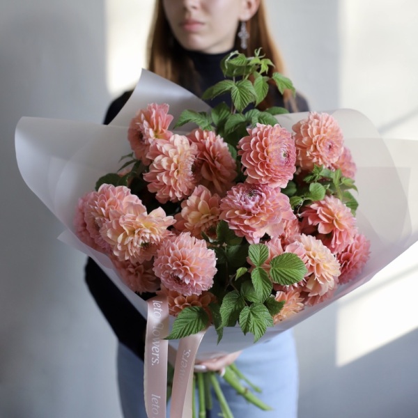 Peachy Dahlias -  25 георгин 