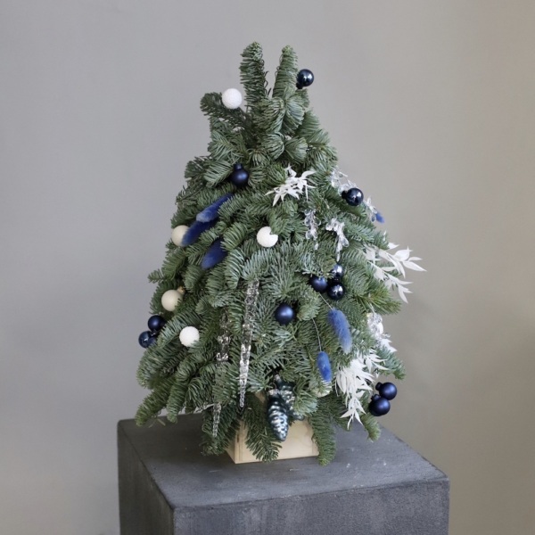 Mini Christmas Tree 'Blue frost'