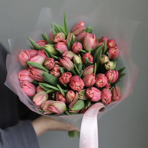 Bright-pink Tulips - 49 тюльпанов