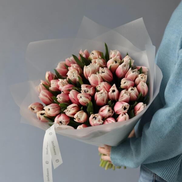 Light-pink Tulips - 49 тюльпанов