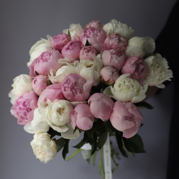 Mixed color Peony - 29 пионов