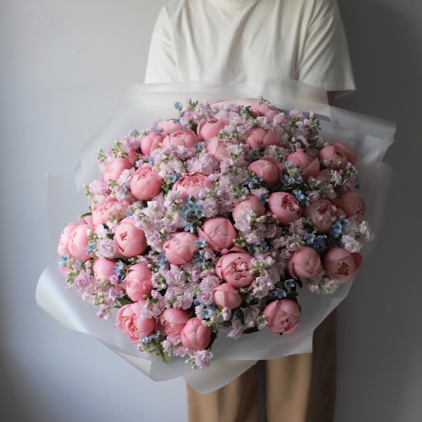 Peonies with Stock and Oxypetalum - Размер XL