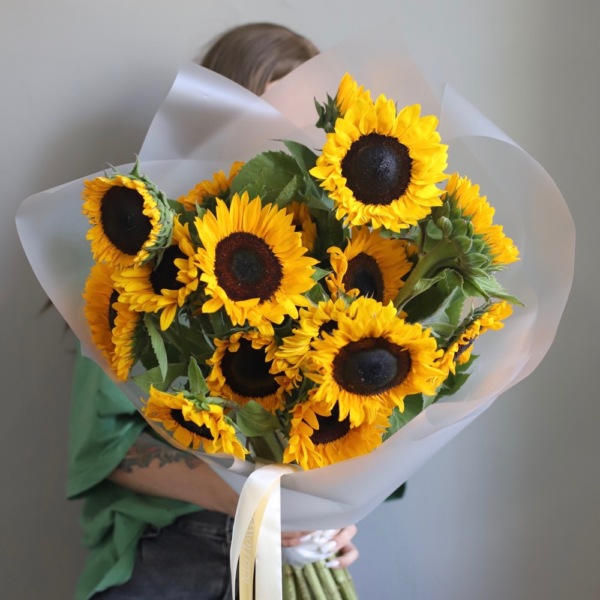 Sunflower - 19 подсолнухов 