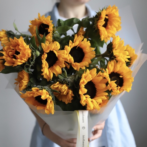 Sunflower - 19 подсолнухов