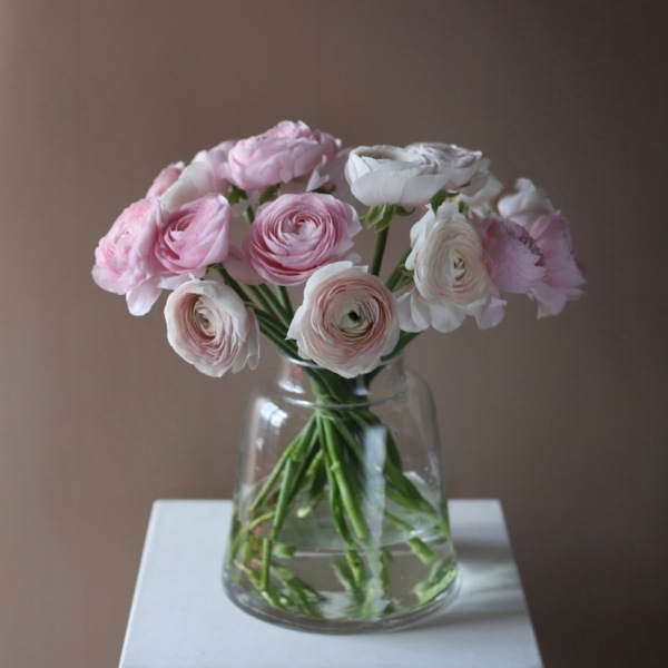 Ranunculus in a vase - 19 ранункулюсов