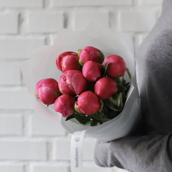 Coral Peony - 9 пионов