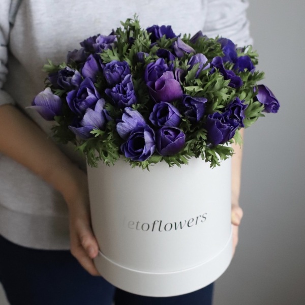 Anemones in a hatbox -  Размер M 
