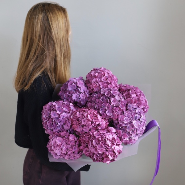 Purple Hydrangea - 9 гортензий