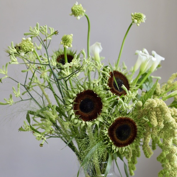 Green bouquet in a vase