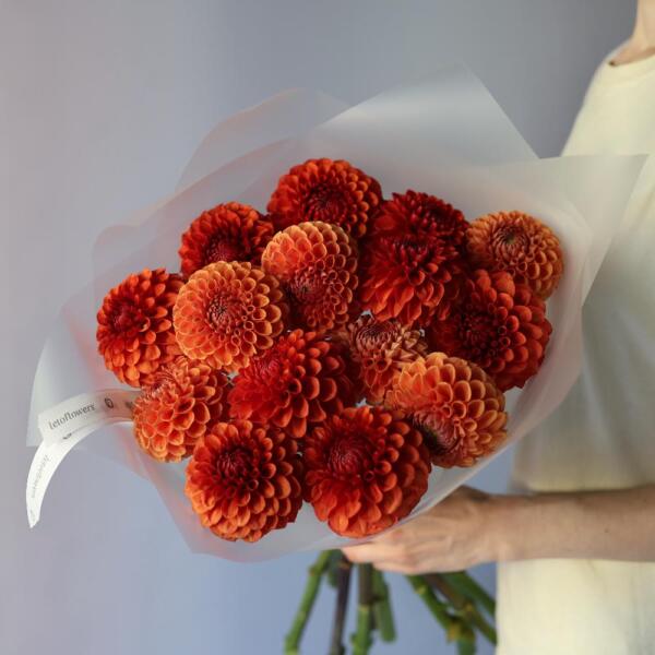 Orange Dahlia - 15 георгин