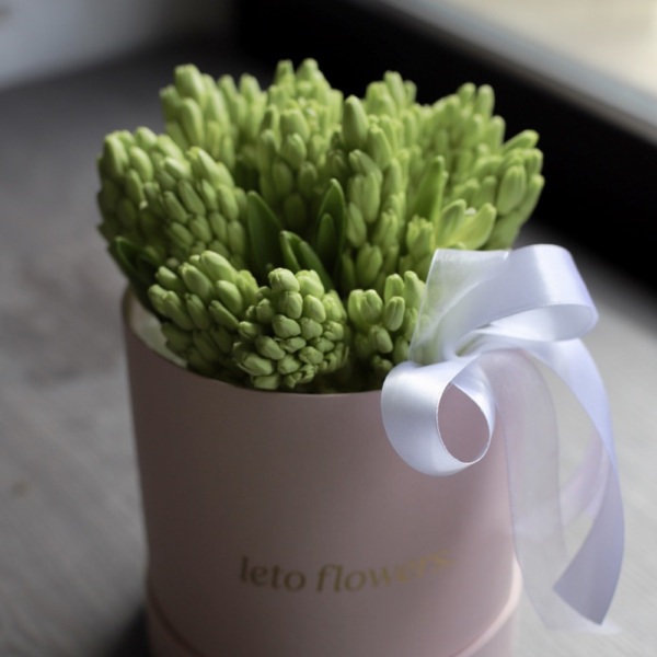 Hyacinths in a hat box - Размер S