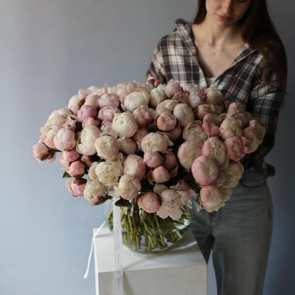 Pink Peonies in a vase - 101 пионов