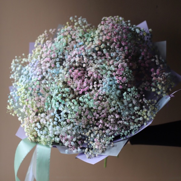 Rainbow Baby's Breath - 25 гипсофил 