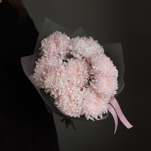 Large pink Chrysanthemum - 9 хризантем