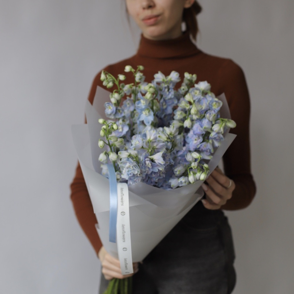 Lavender Delphinium Lavender Delphinium - 19 дельфиниумов