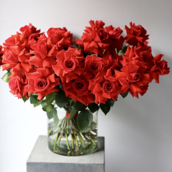 Nina roses in a vase - 49 роз
