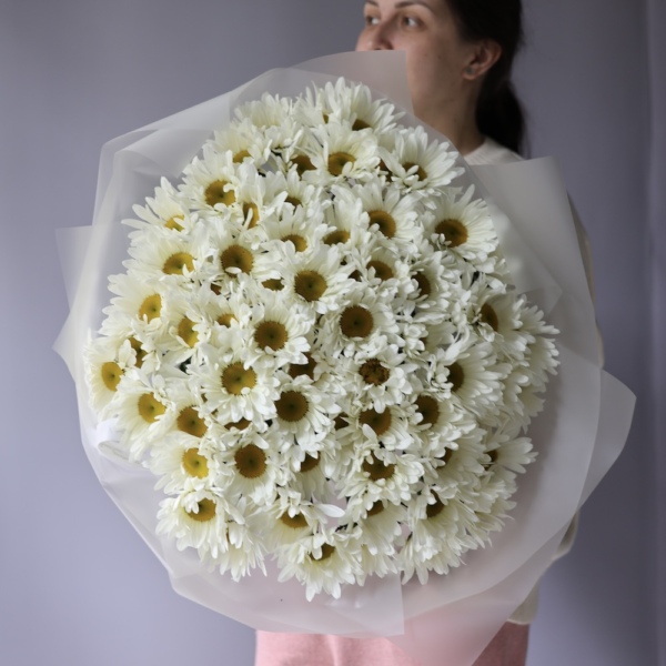 Large Chamomile - 75 ромашек