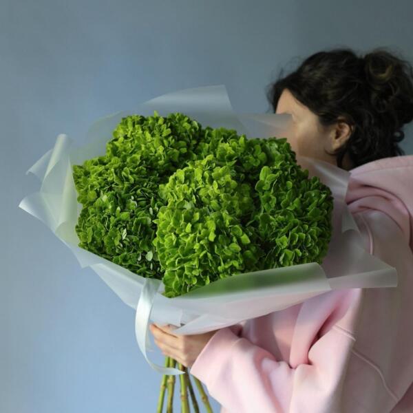 Colombian Hydrangeas - 9 гортензий