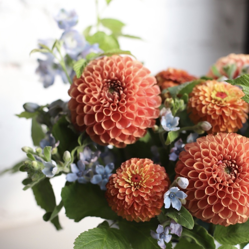 Букет "Попугай Кеша" в шляпной коробке Букет "Попугай Кеша" в шляпной коробке