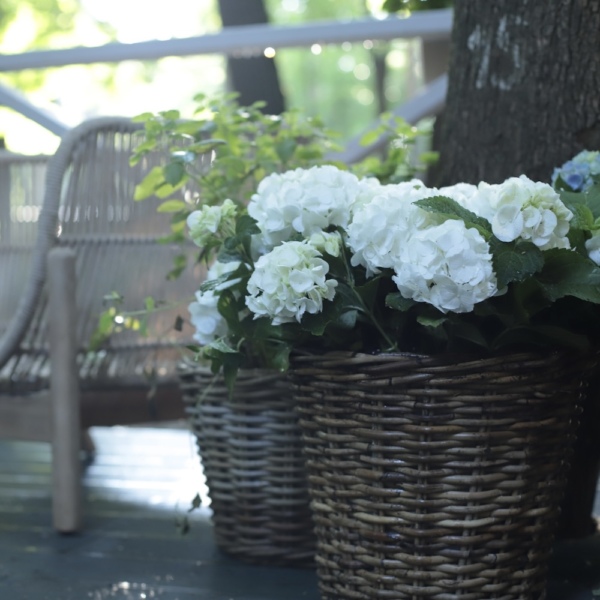 Оформление веранды