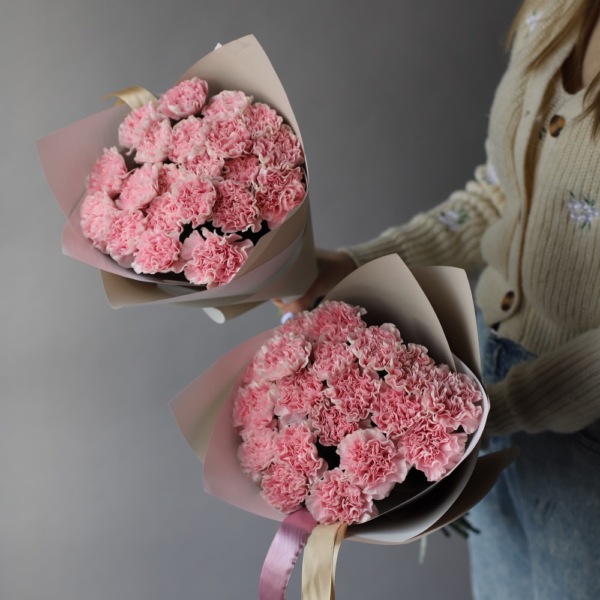 Pink Carnations - 19 гвоздик 