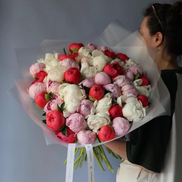 Mixed color Peony - 49 пионов