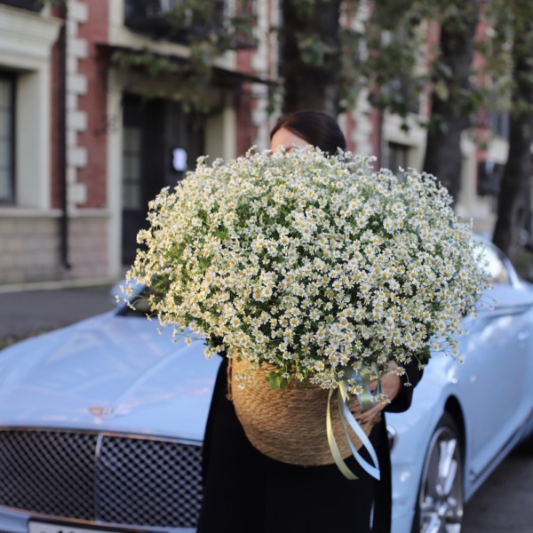 Basket of Spray Chamomile -  Размер L 