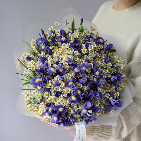 Irises with Chamomile - Размер M