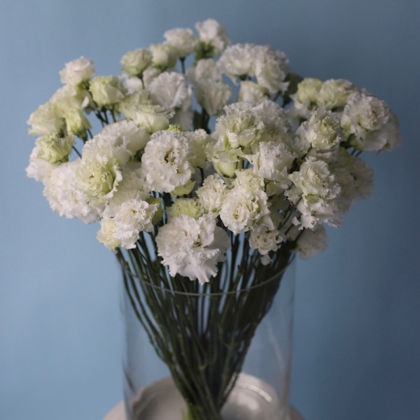 Lisianthus in a vase - 39 эустом 