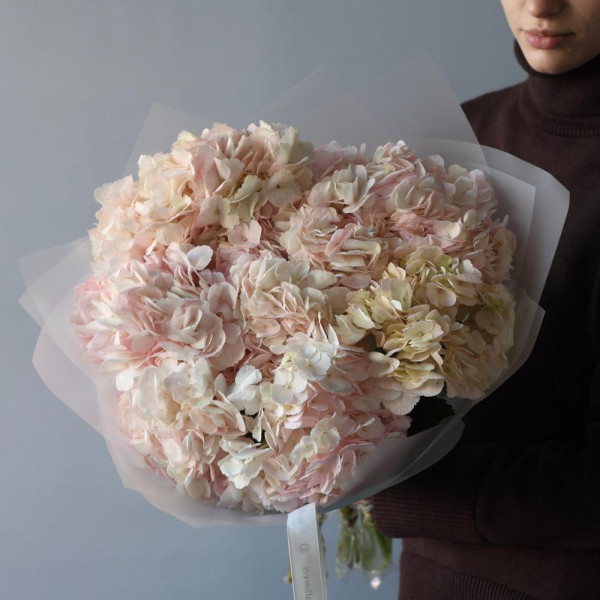 Colombian Hydrangeas - 9 гортензий