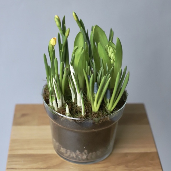 Весенние цветы в вазе - Размер L